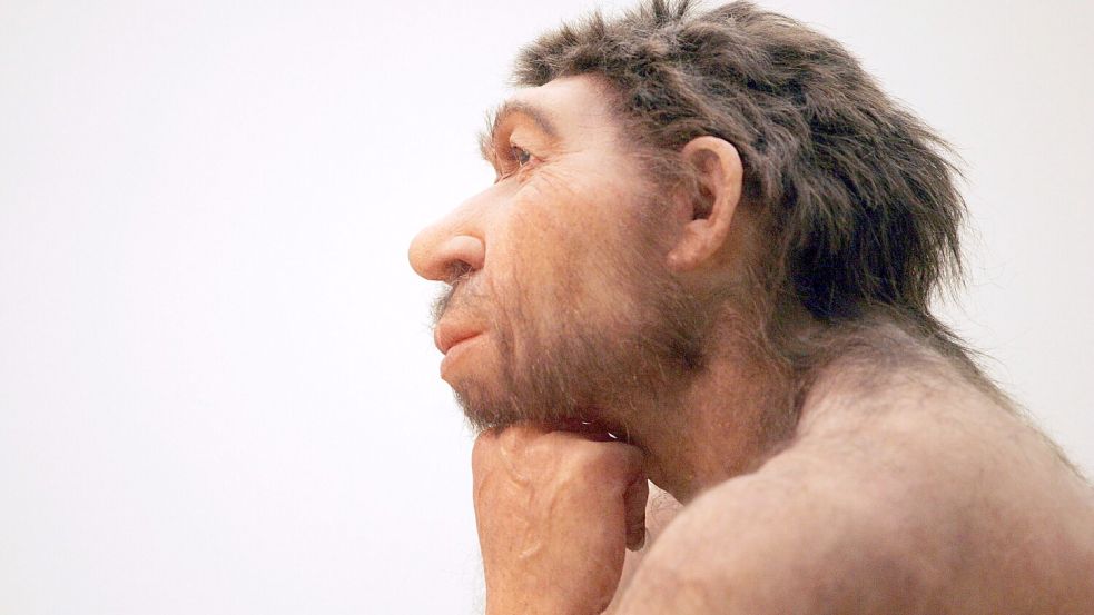 Heutige Menschen besitzen bis zu 4% Neandertaler-DNA. Foto: imago images / Steffen Schellhorn
