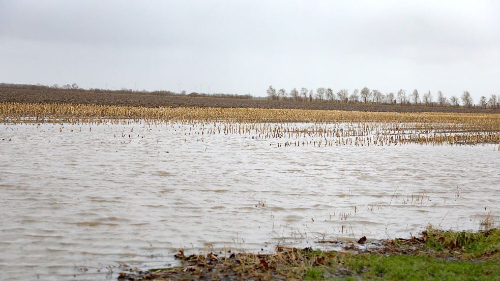 Schon kurz vor Weihnachten waren viele Flächen unter Wasser, wie hier bei Riepe (Gemeinde Ihlow). Foto: Romuald Banik