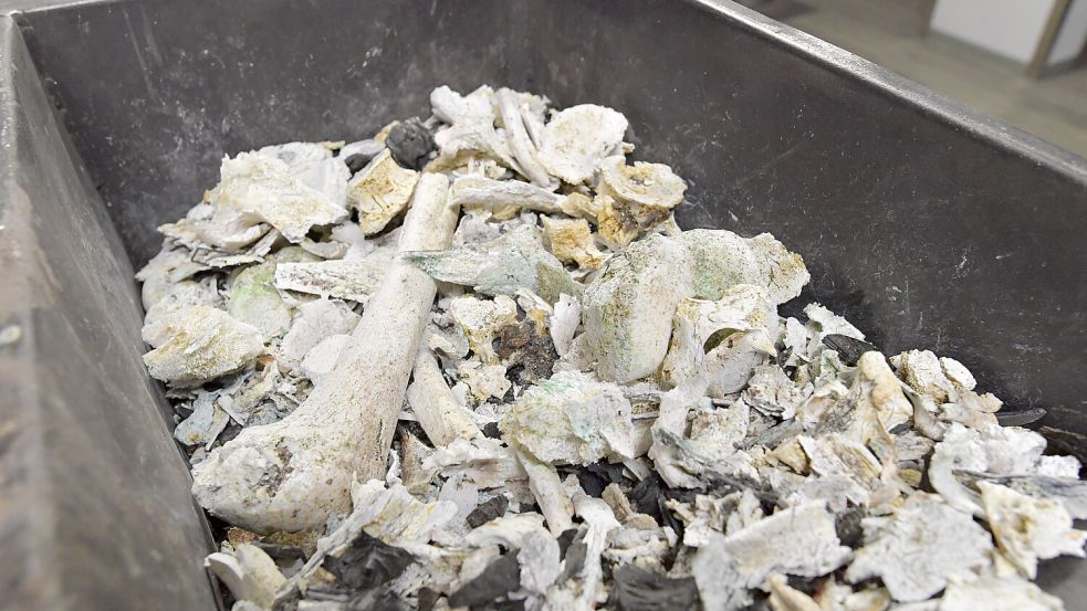 Das bleibt nach dem Einäschern von einem Menschen übrig: Knochenstücke und Metall. Foto: Ortgies