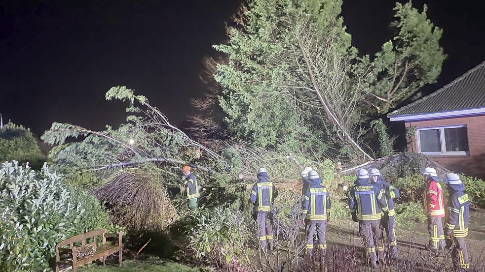 Mit vereinten Kräften machte sich die Norder Feuerwehr daran, den umgefallenen Baum von der Straße zu entfernen. Foto: Feuerwehr Norden