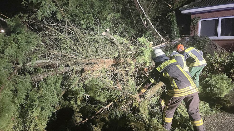 Rund zwei Stunden brauchten die Feuerwehrleute, um die Thuja zu entfernen. Foto: Feuerwehr Norden