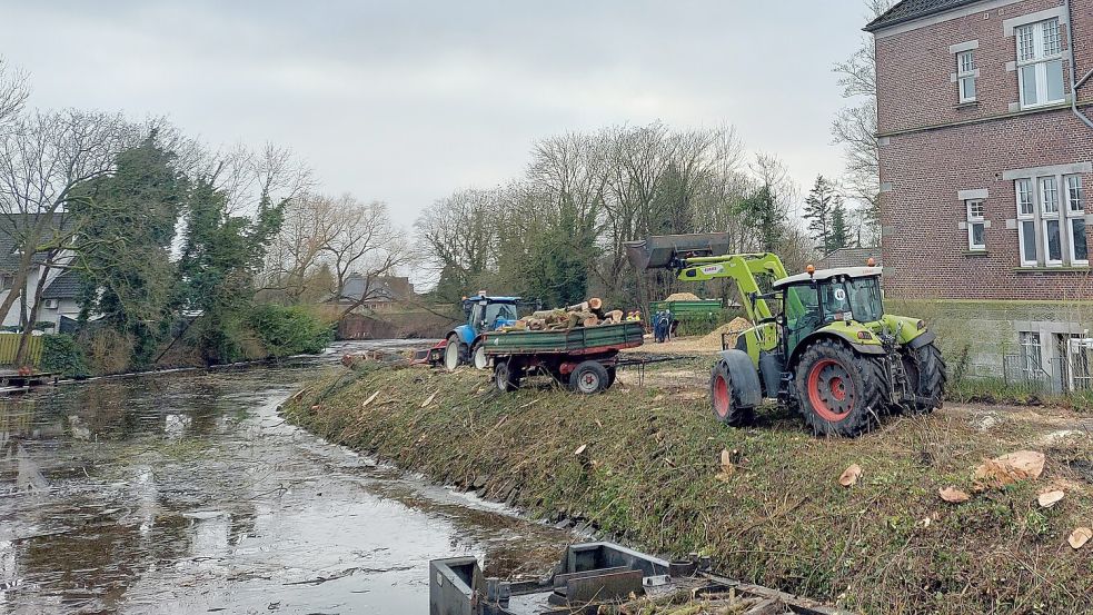 Mit schweren Fahrzeugen wurden entlang des Borssumer Kanals zahlreiche Bäume gefällt. Foto: Hanssen
