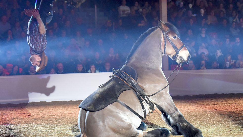 Show und Akrobatik werden auch dieses Jahr wieder geboten. Foto: Archiv