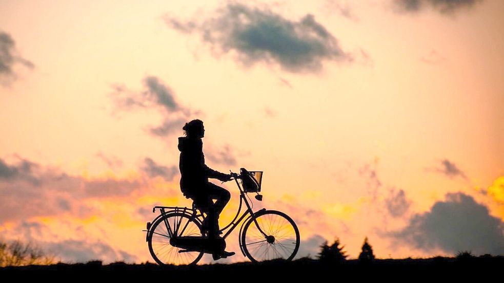 Für Radfahrer soll der Weg über die neue Friesenbrücke komfortabel werden. Foto: Pixabay