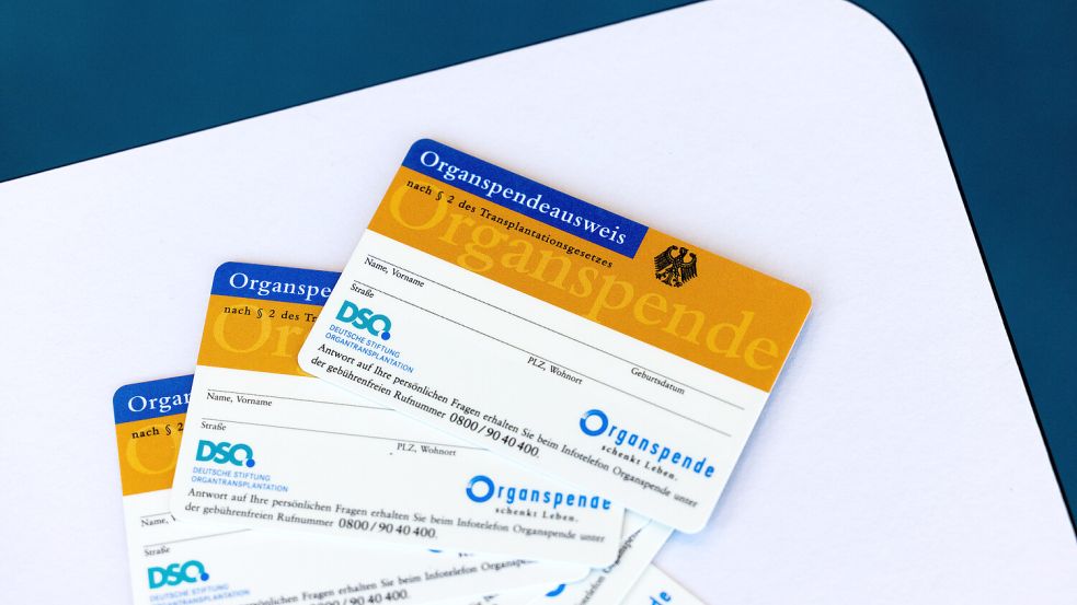 Momentan gilt bei der Organspende in Deutschland die Entscheidungslösung. Nun gibt es einen neuen Kompromissvorschlag. Foto: dpa | Rolf Vennenbernd