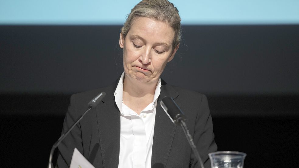 AfD-Chefin Alice Weidel. Foto: dpa/Christoph Reichwein