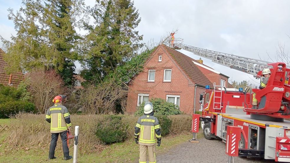 In Simonswolde im Landkreis Aurich war ein Baum auf ein Wohnhaus gestürzt. Foto: Feuerwehr Simonswolde