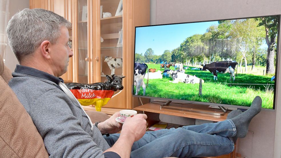 Landwirt Steffen Hinrichs aus Hesel hat es sich mit einer Tasse vor dem Fernseher bequem gemacht und betrachtet seine eigenen Kühe in dem Video, das die digitalen Kaminfeuer ersetzen soll. Foto: Ortgies