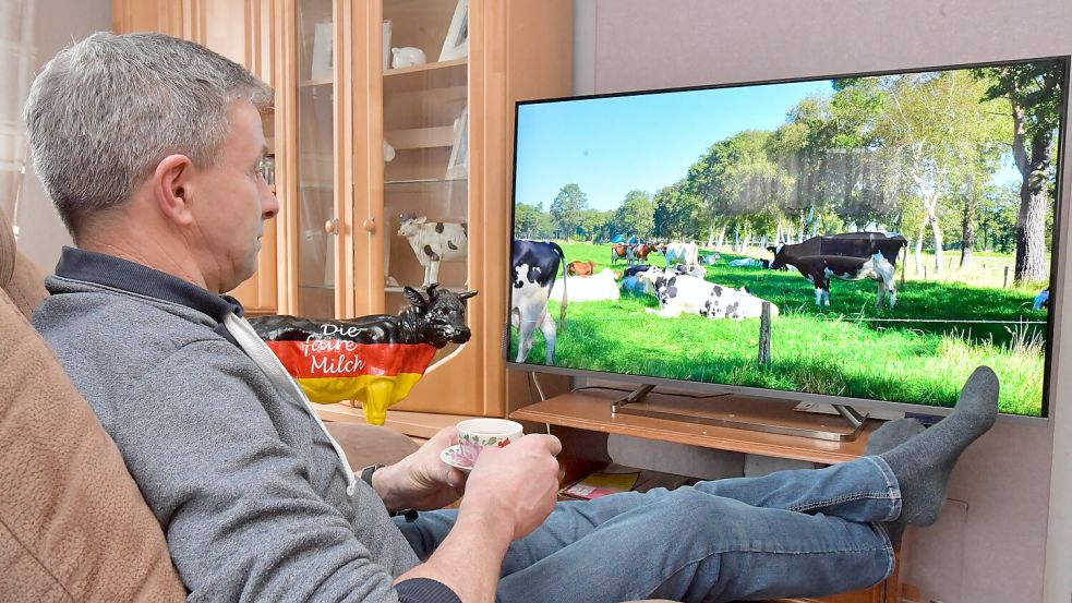 Landwirt Steffen Hinrichs aus Hesel hat es sich mit einer Tasse vor dem Fernseher bequem gemacht und betrachtet seine eigenen Kühe in dem Video, das die digitalen Kaminfeuer ersetzen soll. Foto: Ortgies