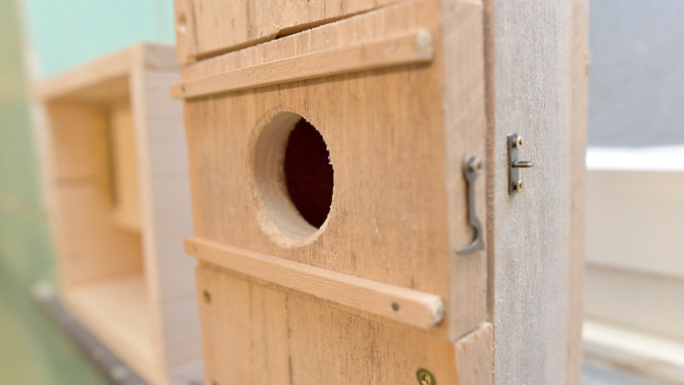 In Boxen können die Fledermäuse sich zurückziehen. Foto: Ortgies