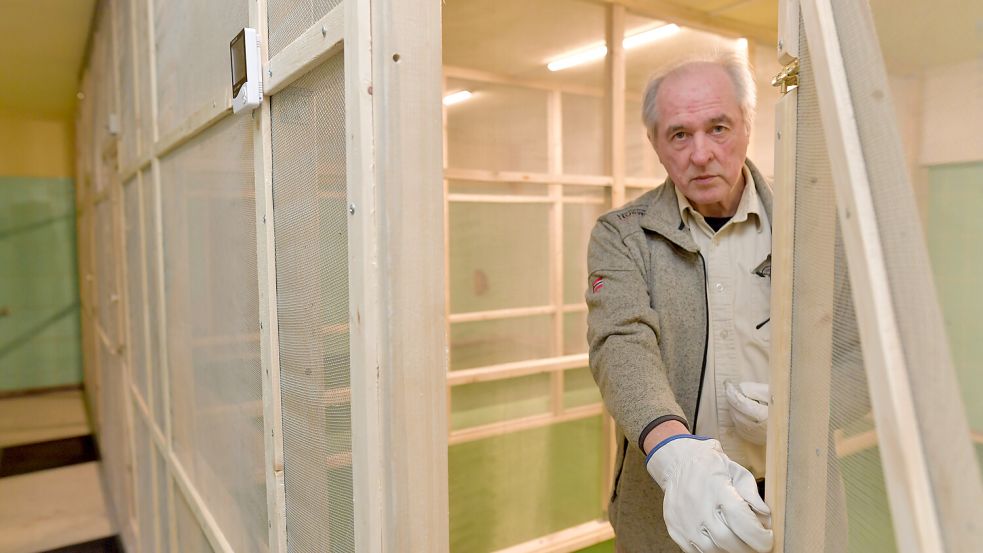 Theodor Poppen darf im Schulkeller der Integrierten Gesamtschule (IGS) in Emden eine Krankenstation für verletzte und gefundene Fledermäuse einrichten. Foto: Ortgies