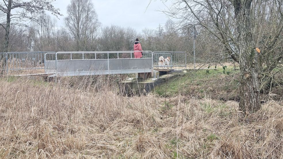 Derzeit kann der Schlot über eine Behelfsbrücke überquert werden. Foto: Bothe