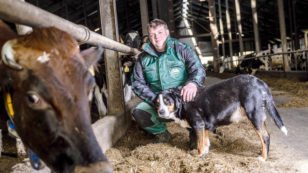 Thomas Andresen in seinem Stall auf dem Hof Barslund in Sillerup. Foto: Sebastian Iwersen
