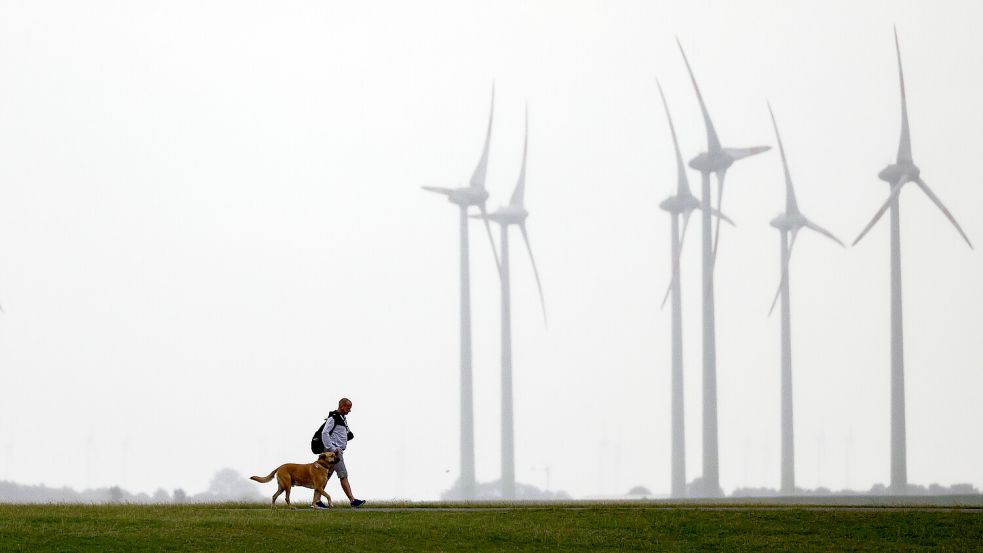 Nicht überall ist das Spazierengehen mit dem Hund auf den Deichen erlaubt. Symbolfoto: Charisius/DPA
