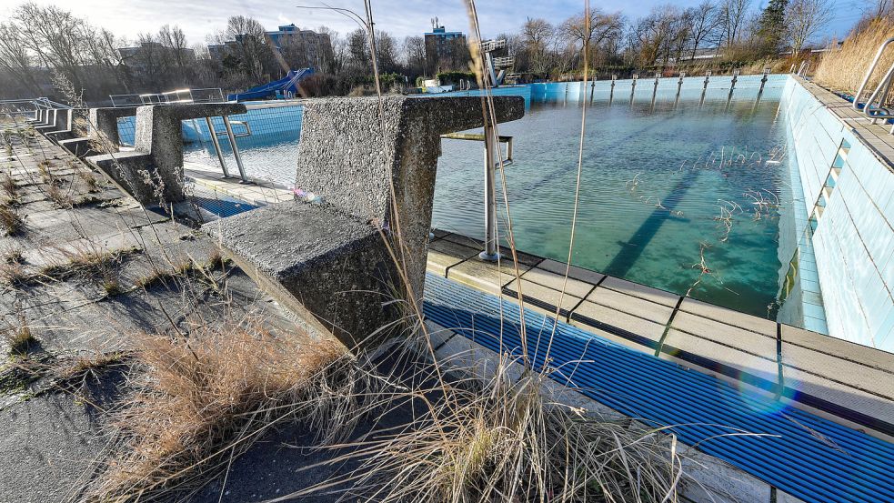 Gräser haben sich in Fugen bis zum Beckenrand vorgearbeitet. Foto: Ortgies