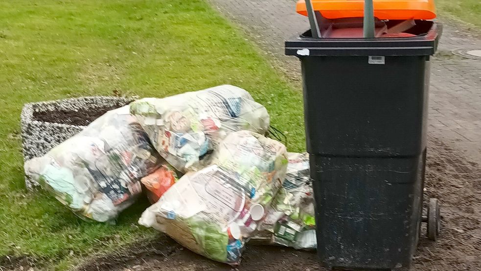 Die große neue Wertstofftonne reicht manchen Haushalten offenbar nicht. Foto: Hochmann