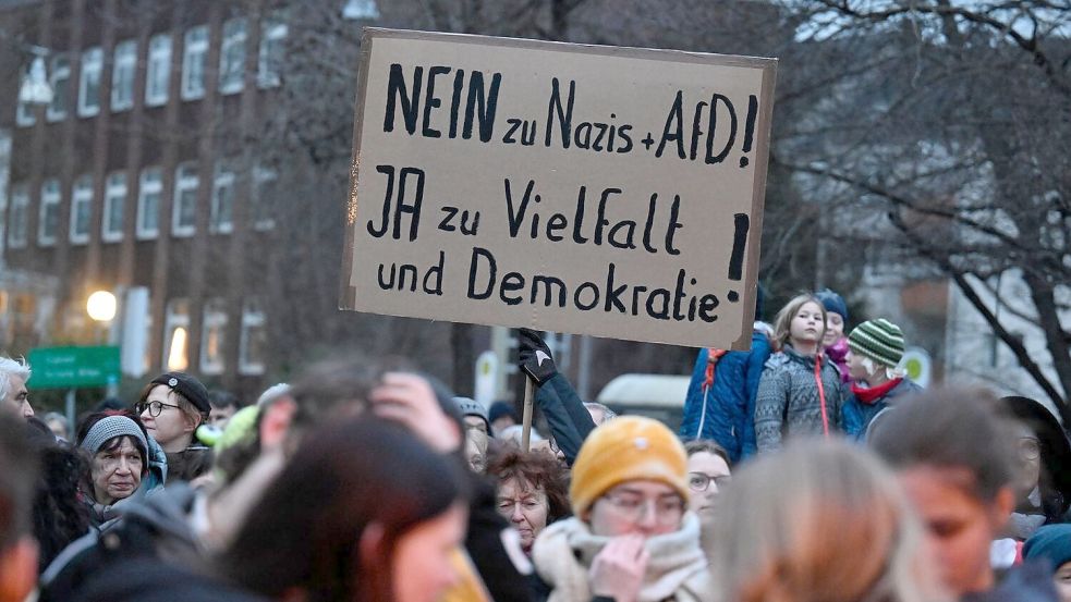 „Nein zu Hass + AfD! Ja zu Vielfalt und Demokratie!“ steht auf einem Plakat bei einer der zahlreichen Demonstrationen gegen Rechtsextremismus und die in Teilen rechtsextreme AfD. Foto: dpa/Roberto Pfeil
