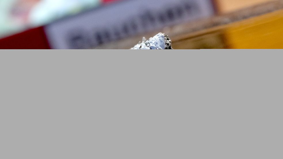 Frankreich will sein Rauchverbot ausweiten. Foto: dpa/Sven Hoppe