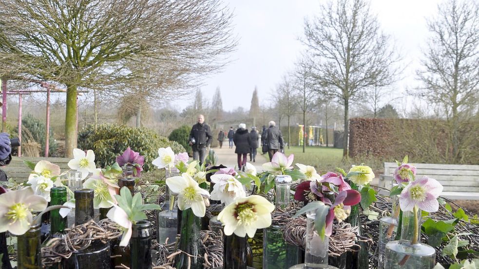 Im Park der Gärten geht es um Winterblüher. Foto: Park der Gärten