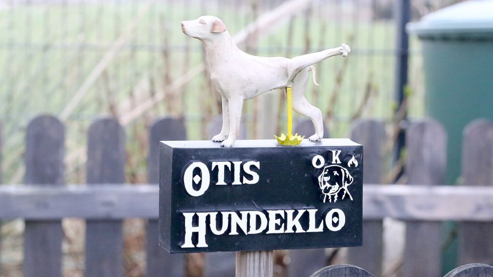 Tim Könes hat vor drei Jahren dieses Hundeklo für Labrador Otis gebaut. Seitdem macht Otis lieber zu Hause. Foto: Böning