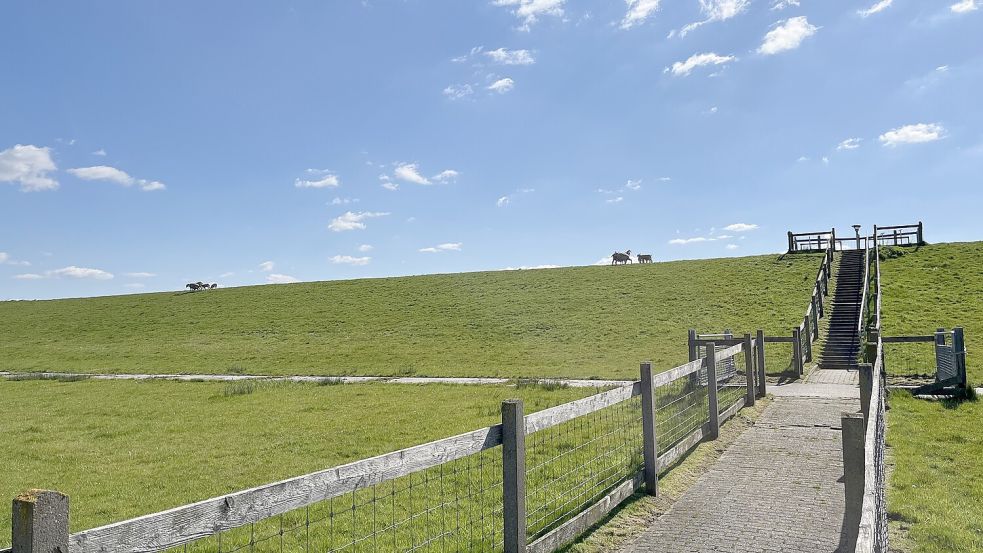 Von der Aussichtsplattform am Deich in Terborg hat man einen schönen Ausblick. Foto: Gemeinde Moormerland