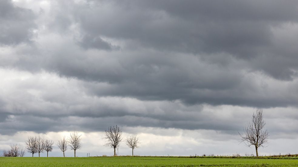 Immer wieder ziehen Regenschauer durch. Auch kurze Gewitter sind nicht ausgeschlossen. Foto: Michael Reichel/dpa-Zentralbild