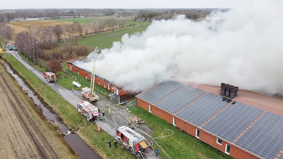Bei dem Brand in Großenkneten sind am Montag etwa 200 Tiere gestorben. Foto: NWM-TV