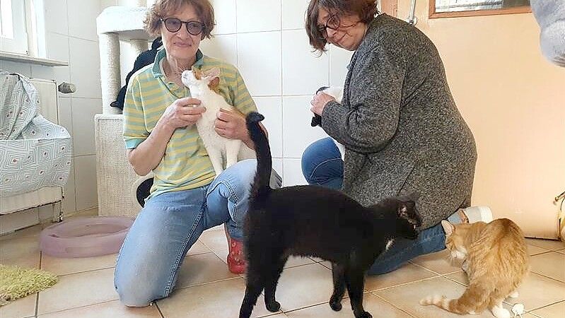 Iris Holzapfel (links), Leiterin des Tierheims Stapelmoor, und Andrea Pastoor von den Streunerkatzen Rheiderland bemühen sich um die Vermittlung von Katzen. Foto: Gettkowski/Archiv