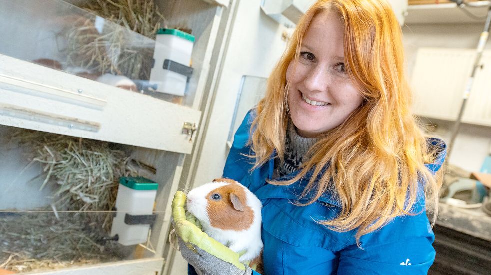 Züchterin Annika Appeldorn hat rund 160 Meerschweinchen – und gibt den Tieren kreative Namen. Foto: Michael Ruff
