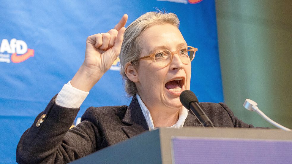 AfD-Chefin Alice Weidel hat die Verwendung des Begriffs „Remigration“ verteidigt. Foto: dpa/Christoph Schmidt