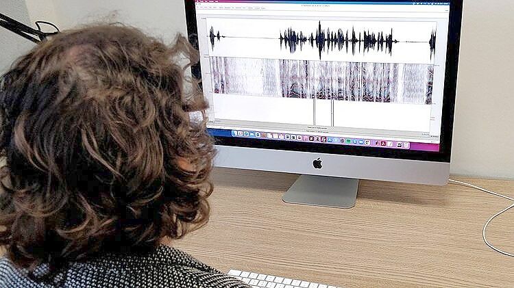 Am Computer haben die Wissenschaftlerinnen Sprachproben der Krummhörnerinnen und Krummhörner ausgewertet. Foto: Universität Oldenburg