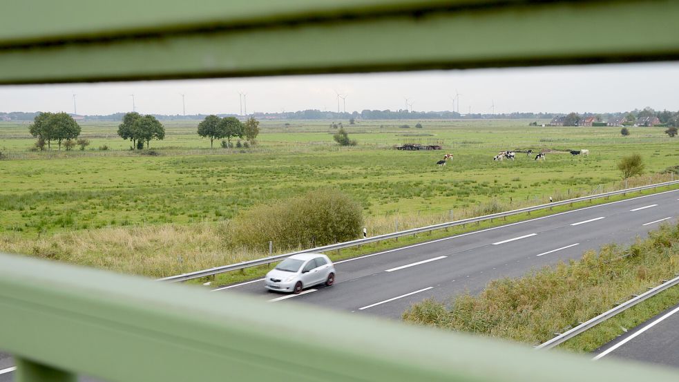 Auf dieser Fläche nahe der A31 sollen der Solarpark und das Gewerbegebiet entstehen. Foto: Archiv
