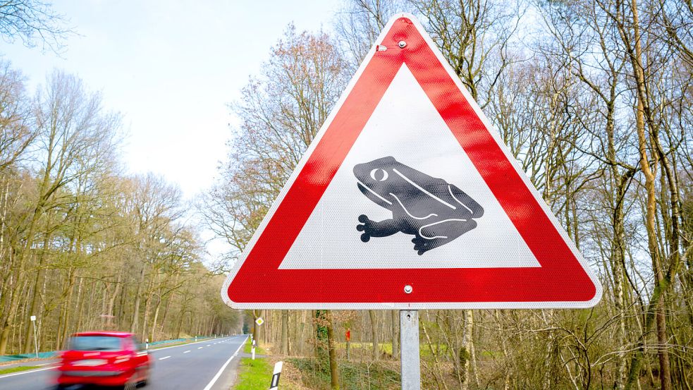 Wer solch ein Schild sieht, sollte rasch vom Gas runter: Wandernde Kröten und Frösche haben derzeit Hochsaison in Ostfriesland. Foto: Schuldt/DPA