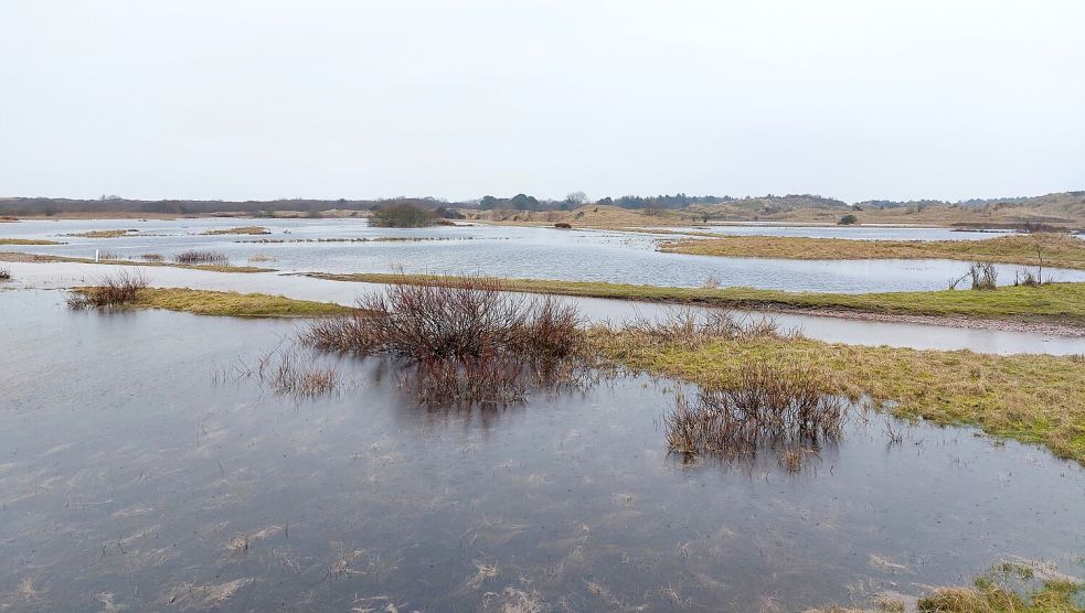 Im Bereich zwischen Waterdelle und Strandcafé Seeblick käme man dieser Tage mit einem Schlauchboot besser voran als zu Fuß. Foto: Ferber