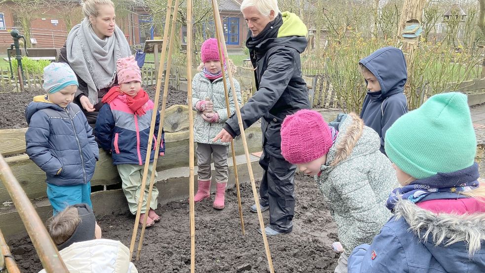 Hier wachsen bald Bohnen satt: Die Kinder der Kita Sonnenstrahl beim Pflanzen mit ihrer Erzieherin Barbara Gontjes (rechts) und der Ökotrophologin Anne Tapken. Foto: Schuurman