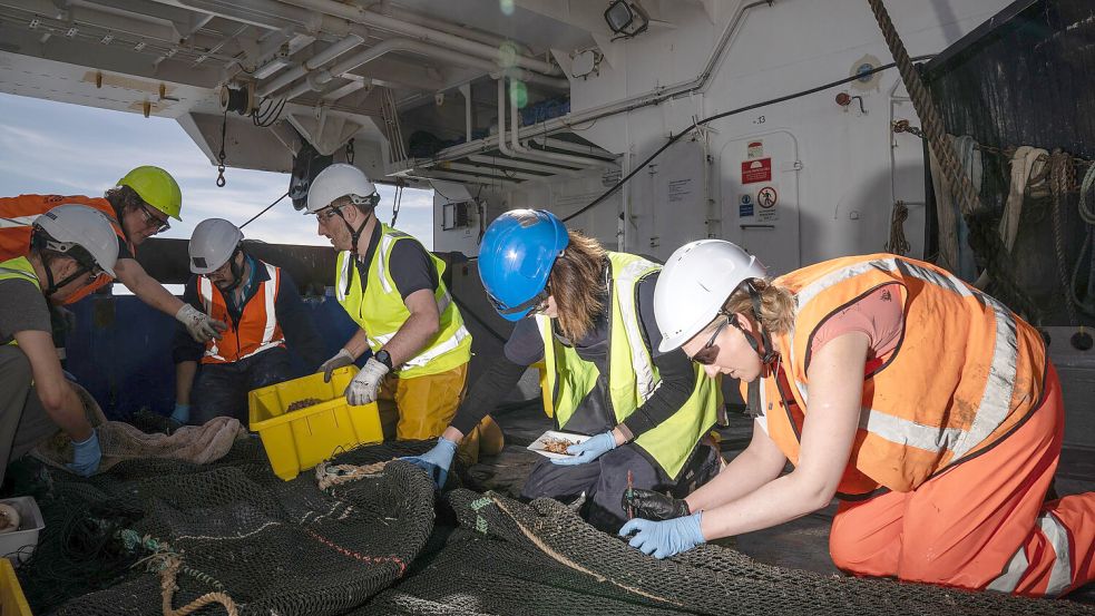 Mit den unterschiedlichsten Gerätschaften sammelte die globale Forschungsexpedition etwa 1800 Proben in einer Tiefe von bis zu 4800 Metern. Foto: Ocean CensusNIWA