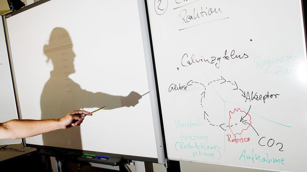 Ein Lehrer wirft einen Schatten auf ein Smartboard in einem Biologie-Leistungskurs.  Die Bundesländer erwarten einen Zuschuss von 6,5 Milliarden Euro für eine Fortsetzung des Digitalpakt Schule 2.0. Foto: Julian Stratenschulte/dpa