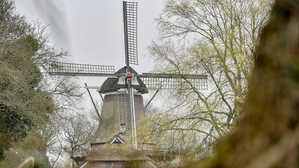 Die Mühle Felde befindet sich in Privatbesitz. Sie kann nur zu besonderen Anlässen wie dem „Tag des offenen Denkmals“ oder nach vorheriger Vereinbarung besichtigt werden. Foto: Ortgies