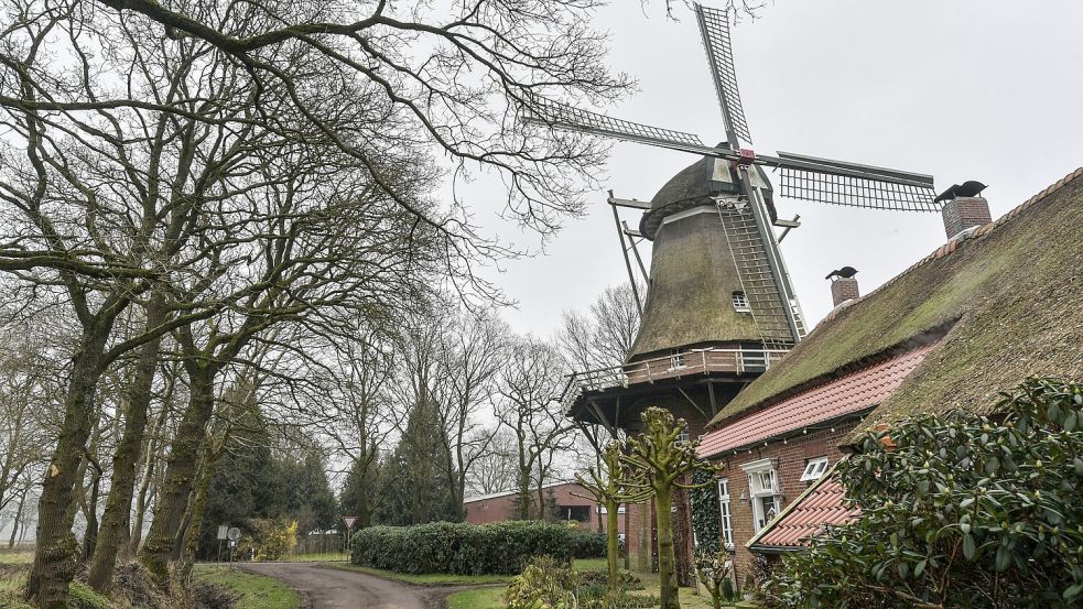 Zum Ensemble der Windmühle gehören auch ein Gulfhaus und ein Packhaus. Foto: Ortgies