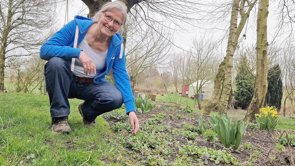 Im Staudenbeet von Agnes Ratering dient der Gundermann als Bodendecker. Foto: Gettkowski