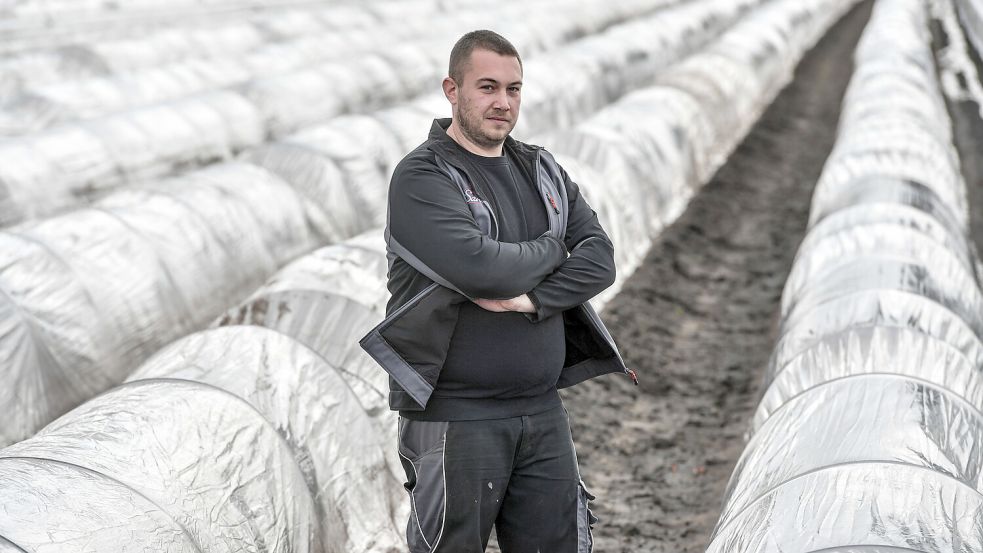 Daniel Santen aus Diele hofft, dass in der kommenden Woche mit der Spargelernte in Diele begonnen werden kann. Archivfoto: Ortgies