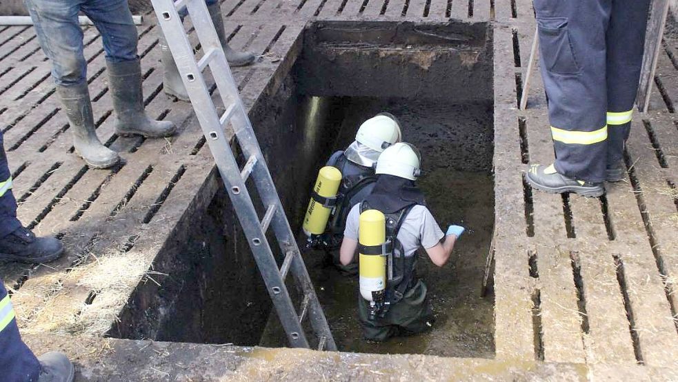 Bei 30 Grad mussten die Retter 2019 in den Güllekeller hinabsteigen, um fünf Kühe in Akelsbarg zu retten. Foto: Feuerwehr