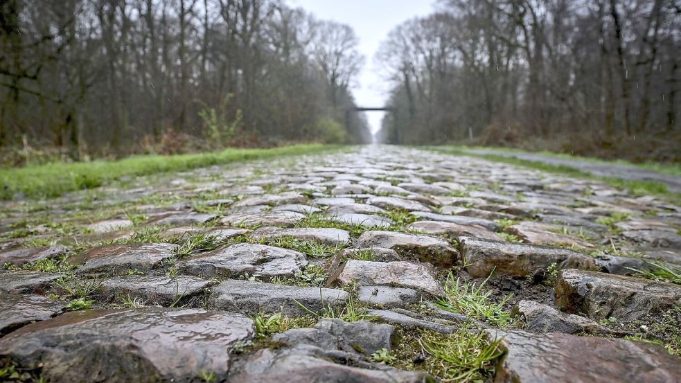 Der Rad-Klassiker Paris-Roubaix findet am Sonntag statt. Vor dem Arenberg-Wald soll nun eine Schikane das Fahrerfeld abbremsen. Foto: Dirk Waem/Belga/dpa