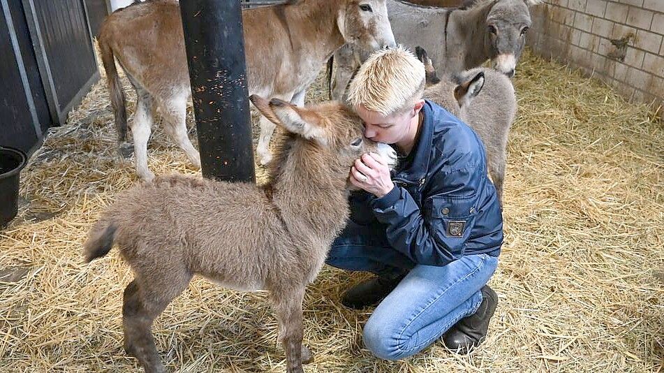 Liebevoll: Petra Appeldorn und der jüngste Esel-Nachwuchs Elmo.