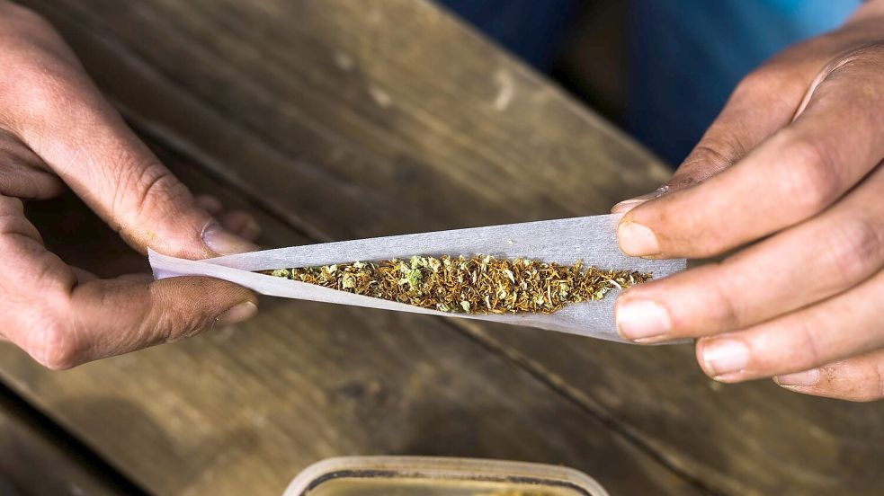 Das neue Cannabis-Gesetz hat einen Angeklagten, der rund 450 Kilogramm Marihuana eingeführt haben soll, vor einer Strafe bewahrt. Foto: Philipp von Ditfurth/dpa