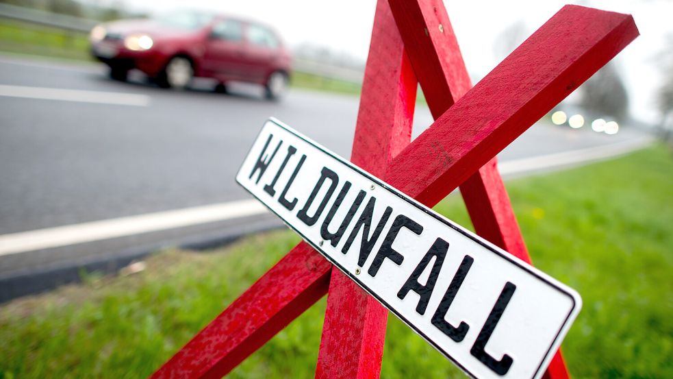 Genau 531 Wildunfälle hat es im vergangenen Jahr im Landkreis Aurich gegeben. Das zeigte die Verkehrsunfallstatistik der Polizeiinspektion Aurich/Wittmund. Foto: DPA