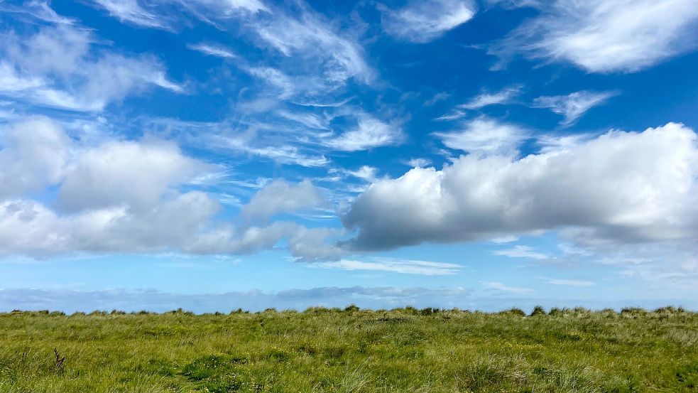 Es bleibt windig und bewölkt mit Sonnenschein am Sonntag. Foto: Melanie Hanz