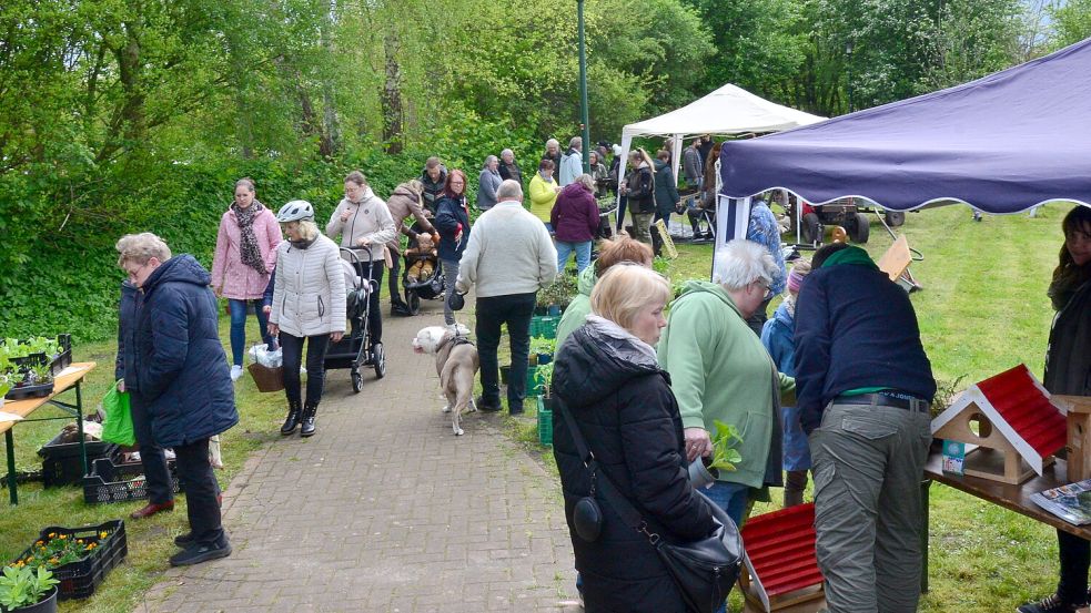 Der erste Planten- un Blomenmarkt des Bürgervereins Oltmannsfehn/Ockenhausen fand am Wochenende statt. Foto: Lehmann