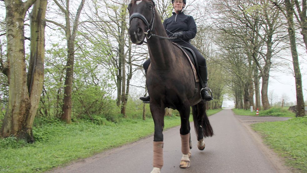 Nach Jahrzehnten der Abstinenz kann Waltraud Schürmeyer in Oeversee mit dem Hannoveraner „Royal of Black“ endlich wieder ihrem Reit-Hobby nachgehen. Foto: Tim Prahle