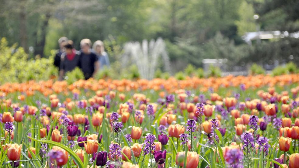 Der Park der Gärten startet in die Saison. Foto: Park der Gärten